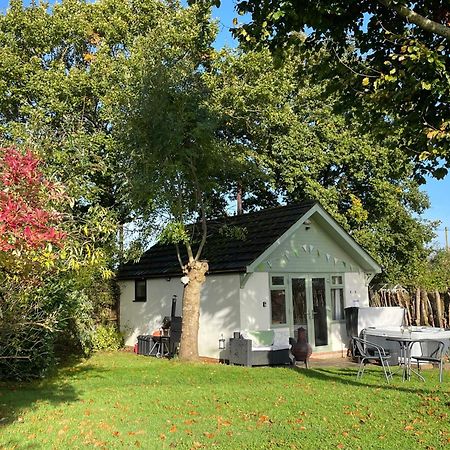 Pheasant Lodge Уимборн Минстър Екстериор снимка